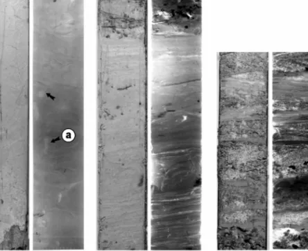 Fig. 3. Photographs and X-radiographs of the core MW -① .
