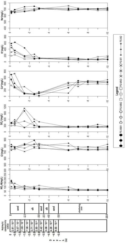 Fig. 5. Cation and anion concentrations with depth at PS-M1, PS-M2, PS-MM1, PS-MM2, and PS-MM3 wells.