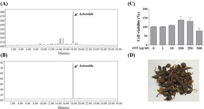 Fig.  1.  HPLC  Chromatograms  of  the  (A)  wFF  and  (B)  Acteoside.  (C)  Effect  of  wFF  on  RAW  264.7  cell  viability  was  measured  using  MTS assay