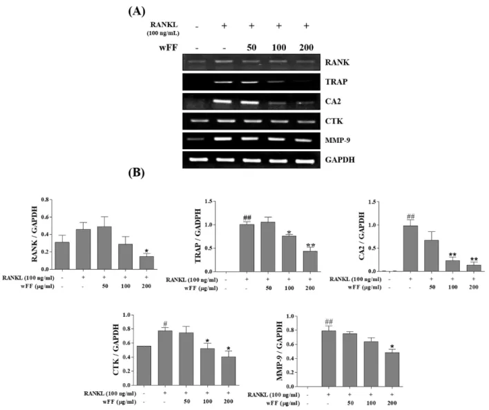 Fig.  3.  Inhibitory  effect  of  wFF  on  the  activation  of  osteoclastogenesis-related  genes  in  RAW  264.7  cells.