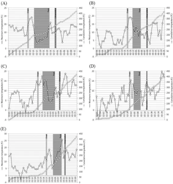 Fig. 5. Maximum and cumulative temperature in occurrence with the infestation stages of Cacopsylla  pyricola, obtained from automatic weather station installed at Bonghwang in Naju City