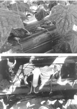 Fig. 1. Bed and sampler of discharged nutrient  solution.