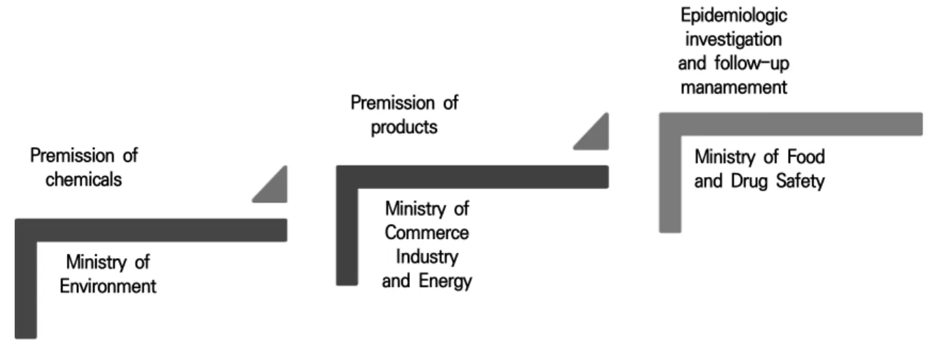 Figure 3.   The steps of regulation for chemical safety.