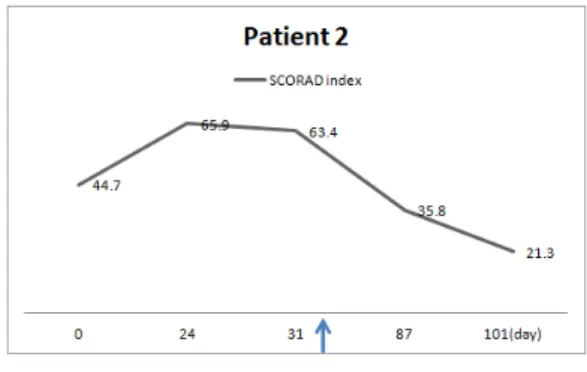 Fig.  2  SCORAD  Index  Graphs  of  Patient  2 