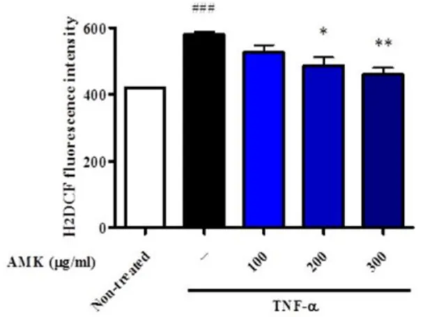 Fig.  5.  Effects  of  AMK  on  the  activation  of  PPARγ and  C/EBPα level  in  TNF-α treated  3T3-L1  adipocytes