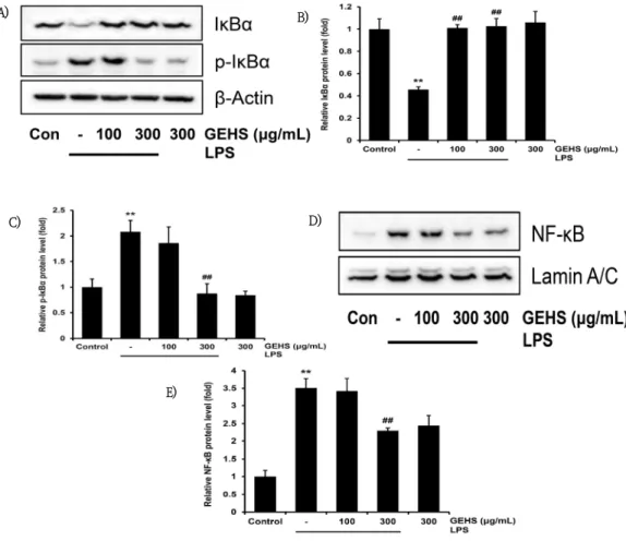 Fig.  5.  Effect  of  GEHS  on  NF-κB  Signaling  Pathway. 