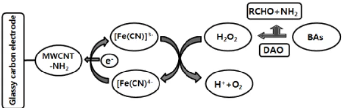Fig.  1.  The  reaction  of  BAs  in  biosensor  system.