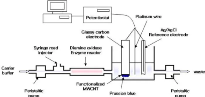 Fig.  2.  Schematic  diagram  of  the  biogenic  amines  biosen- biosen-sor  with  flow  injection  analysis  system.