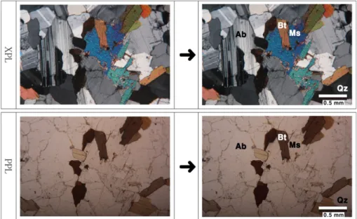 Fig. 7. 3D model editing process using a 3D scanning soft- soft-ware (Autodesk 3D max 2020).
