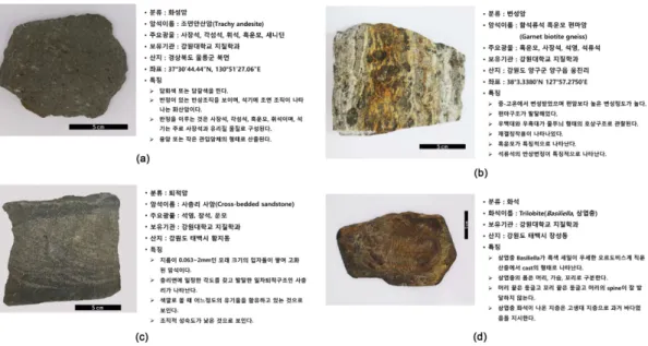 Fig. 9. Documented metadata including polarized microscopic features of rock, fossil, and mineral specimens