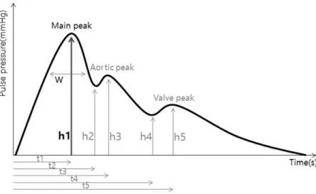 Fig.  1.  Standard  blood  pulse  wave- wave-form  and  parameters.