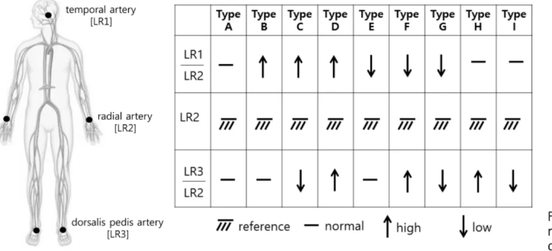 Fig.  13.  Pattern  classification  for  risk-assessment  of  body  systemic  circulation