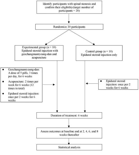 Fig.  1.  Flow  Chart  of  the  Trial  Process.