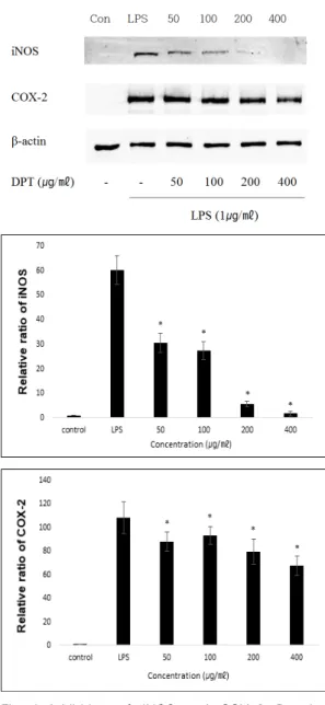 Fig. 5. Effect  of  DPT  on  DPPH  Radical  Sca-  venging  Test.  AC:  treated  with  ascorbic  acid  (200㎛);  50,  100,  200  and  400  :  treated  with  various  concen-  trations  of  DPT(㎍/㎖).