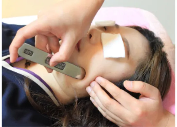 Fig.  3.  Yinyang  Balance  Appliance.