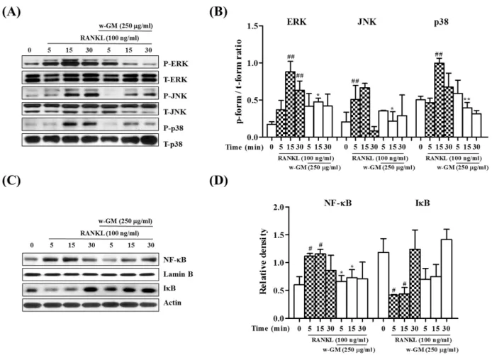 Fig. 4. Effect of w-GM on MAPK and NF- κB protein expressions in RANKL-stimulated RAW 264.7 cells