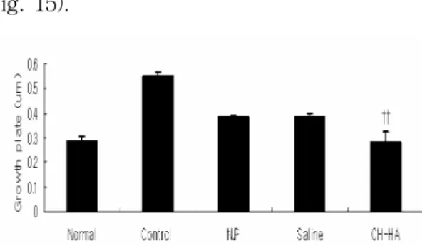 Fig.  15.  Effect  of  CH-HA  on  growth  plate  length  of  tibia  in  ovariectomized  mice.