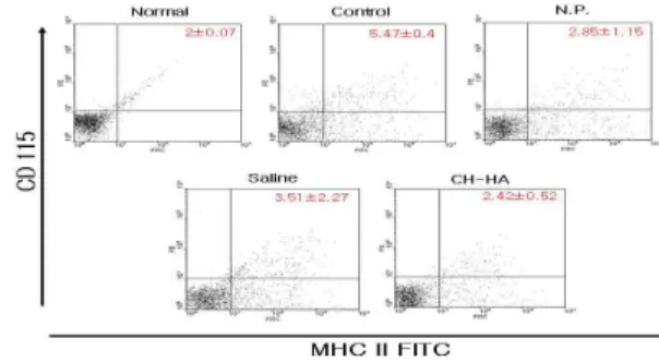Fig.  9.  Effect  of  CH-HA  on  tibial  phosphorus  level  in  ovariectomized  mice. 3) Ca/P ratio 각 실험군에서 취한 경골을 회분한 뒤, 경골 내에서 calcium과 phosphorus의 비율을측정하였다