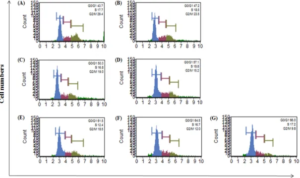 Fig.  3.  Effect  of  OJEF  on  Cell  Cycle  Regulation  in  A375  Cells