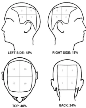 Fig  1.  SALT  Score  Visual  Aid