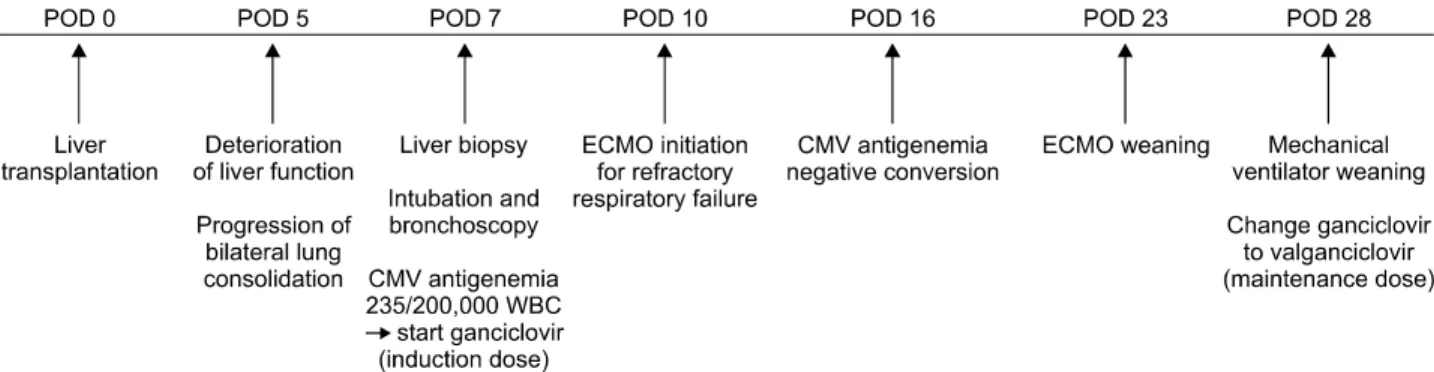 Fig. 3. A  timeline  of  clinically  important  diagnostic  and  therapeutic  procedures
