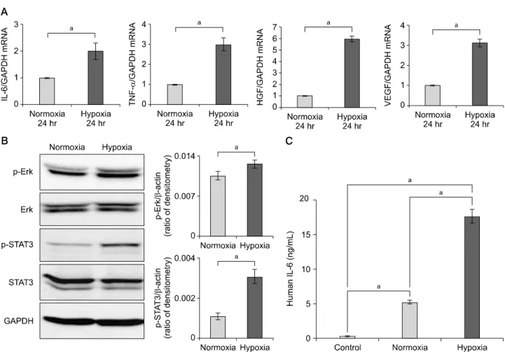 Fig. 1. Effect of hypoxia on the expression of cytokines and growth factor in adipose-derived stem cells (ASCs)