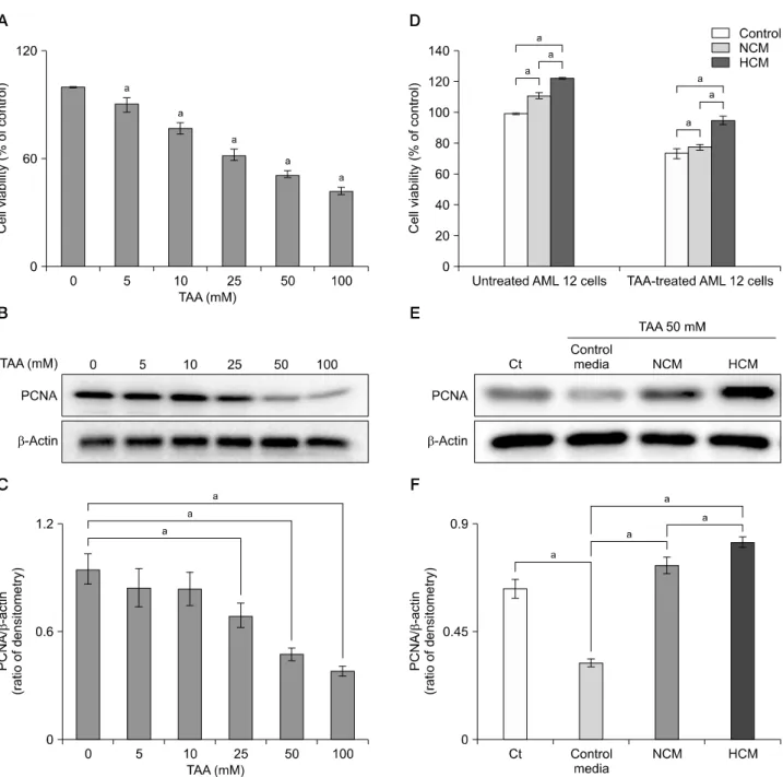 Fig. 2. Effect of hypoxic conditioned media (HCM) on mouse hepatocyte (alpha mouse liver 12 [AML12]) cells