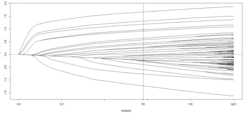 Figure 3.2. Path plot of ranking Lasso.