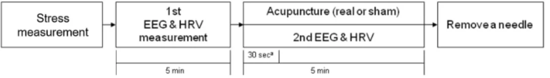 Fig.  1.  Protocol  of  experiment.