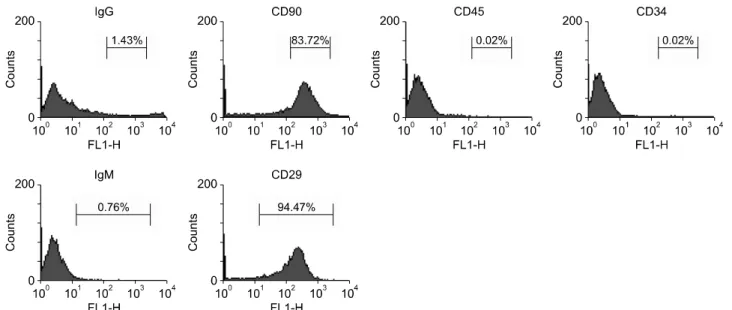 Fig. 1. Fluorescence-activated cell sorting analysis for characterization of rat mesenchymal stem cells (MSCs) at passage 3