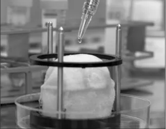 Fig. 1. 3D printing bladder scaffold. Reprinted from Fig. 1 of  reference [33].  가하고 있다(1)