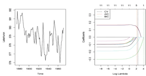 Figure 3.8. Time series plot and Path of adaptive LASSO coeﬃcients.