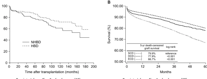 Fig. 3. (A)  Long-term  outcome  for  deceased  donor  by  donor  type,  (B)  The  graft  survival  rate  by  donor  type.