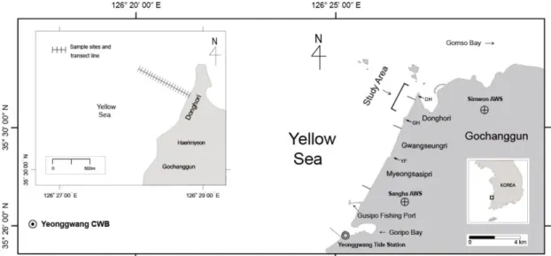 Fig. 2. (Color online) Path and tidal record of the typhoon Kompasu in 2010, displayed using data of Korea Meteorological Administration (2011) and Korea Hydrographic and Oceanographic Administration (2010)