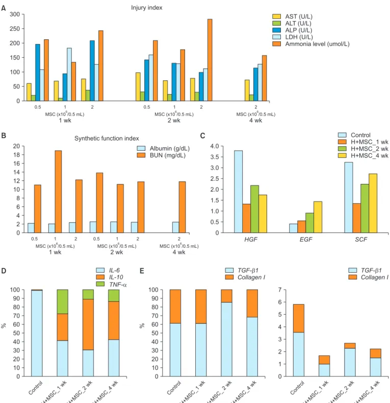 Fig. 3. Serological marker and gene expression changes. Serological changes after cotransplantation of hepatocyte and mesenchymal stem cells (MSCs)   in rats with acute liver injury