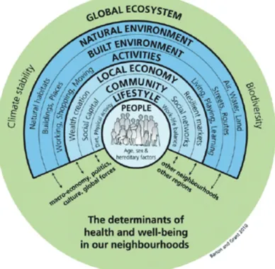 Figure 2. Determinants of health. Reprinted from Dahlgren et al. Policies and strategies to promote social equity in health: background document  to WHO: strategy paper for Europe