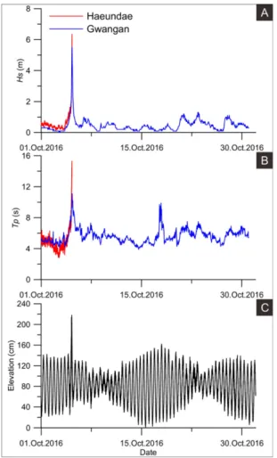 Fig. 3. Annual changes in Haeundae beach area (MOF, 2016). Arrows in blue indicate typhoons invaded and red arrows the years of beach nourishments conducted.