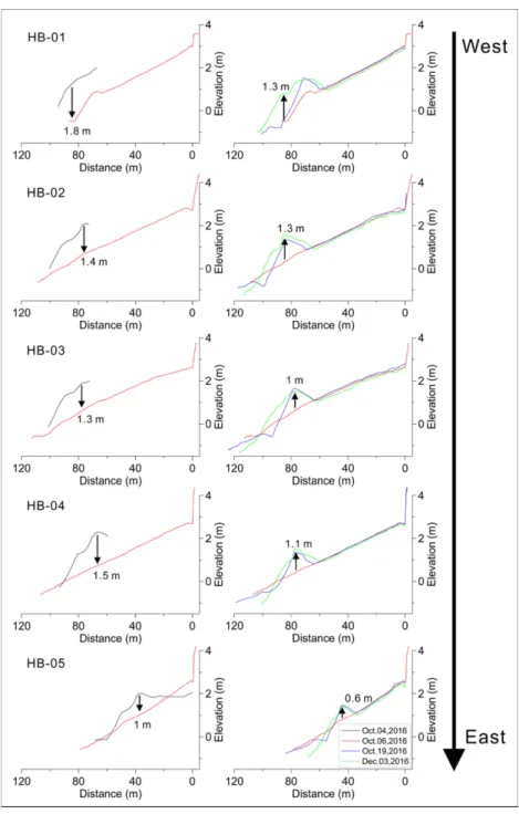 Fig. 5. Topographic changes in beach profiles during the pre- and post-typhoon Chaba.