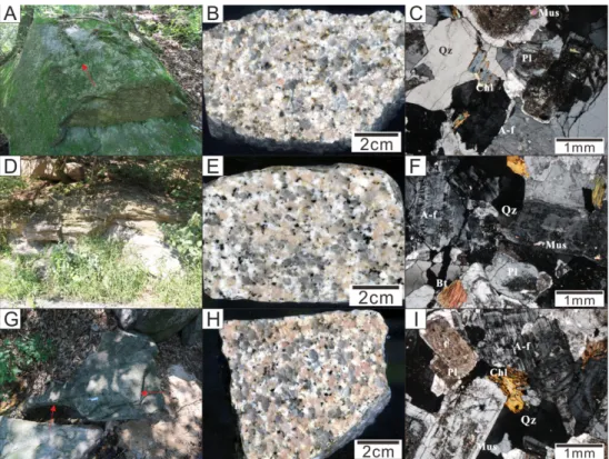 Fig. 4. X-ray powder diffraction patterns of the country rocks (A, alkali feldspar; B, biotite; C, chlorite; M,  magne-tite; P, plagioclase, Q, quartz).
