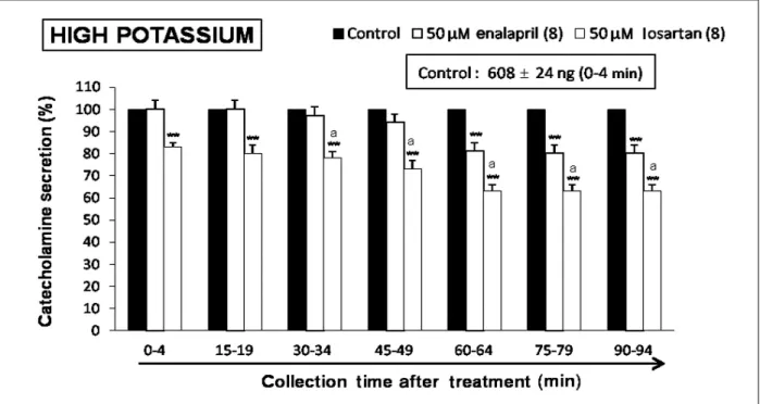 Fig. 2. Time-course effects of losartan or enalapril on high potassium-evoked catecholamines (CA) secretion from the isolated perfused rat adrenal glands
