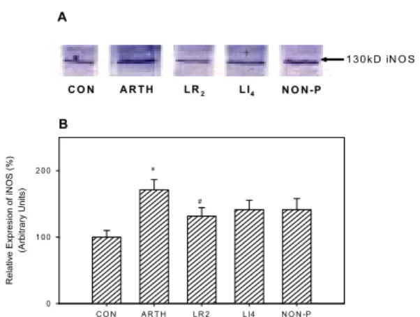 Fig. 5. Western  blot(A)  and  densitometric(B)  analysis  of  iNOS  expression  in  the  spinal  cord  samples  from  the  several  groups.