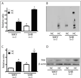 Fig. 2. Change of plasma low density lipoprotein levels.  Plasma LDL level; WKY-NC vs