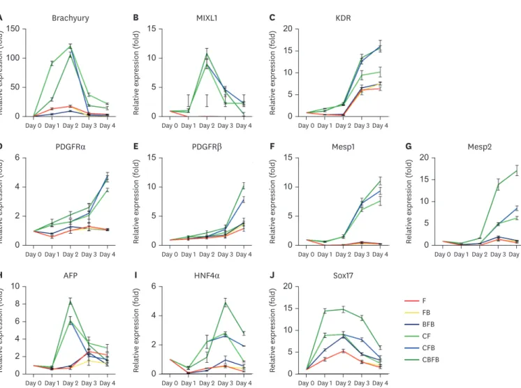 Fig. 3. Expression levels of lineage-specific genes during day 0–4 of differentiation