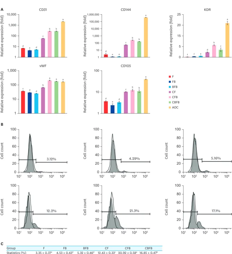 Fig. 4. Effects of different treatments on EC differentiation from piPSCs. (A) On day 10 of differentiation, expression levels of EC marker genes were analyzed by  quantitative real-time reverse transcription polymerase chain reaction