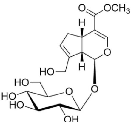 Figure  1.  Chemical  structure  of  geniposide