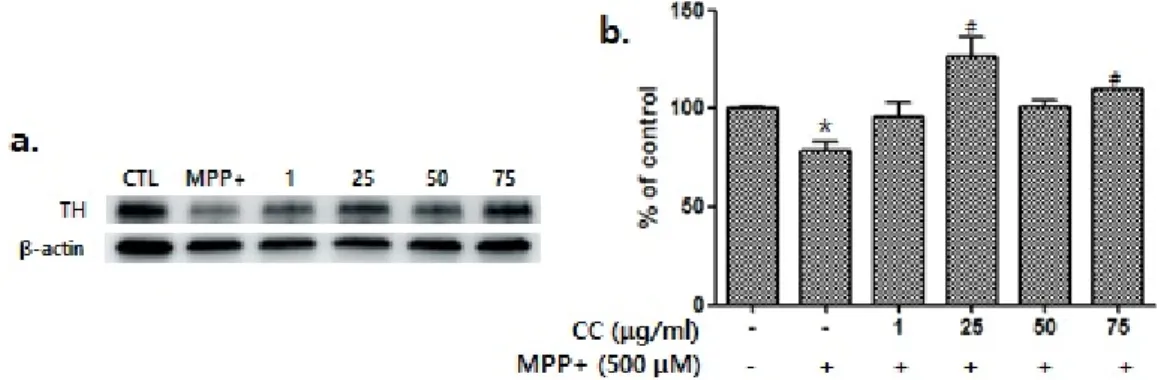 Fig. 2. Cytotoxicity was analyzed in various concentrations of Cervi  Cornu treatment