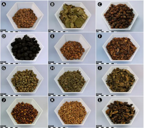 Fig.  3. Photos  of  the selected rosaceous  medicines.  A.  Persicae Semen. B.  Eriobotryae  Folium