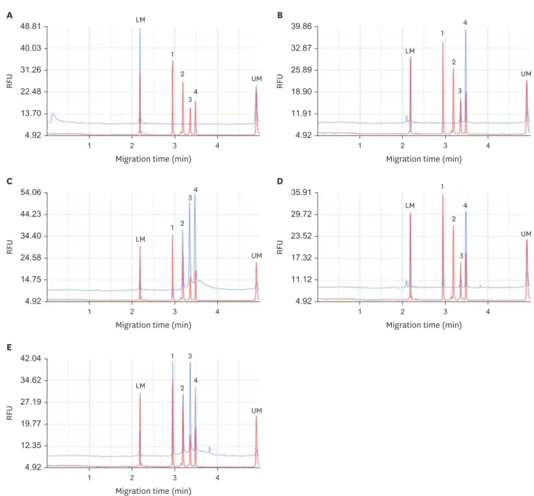 Fig. 2. The representative capillary electrophoresis results of the field samples (Blue line, tested field sample; Red line, positive control which was from the in  vitro transcribed RNA standards)