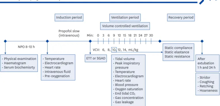 Fig. 1. Diagram illustrating the timeline of the protocol used in this study. Cats were randomly allocated to airway control groups using an ETT or a SGAD