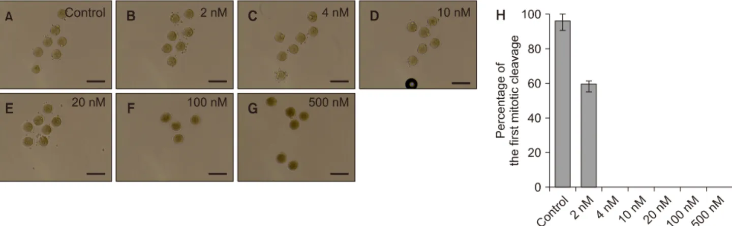 Table 2. First cleavage rates of BI2536-treated, and control  parthenogenetic murine embryos